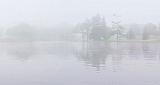 Turtle Island Trees In Fog_45842
